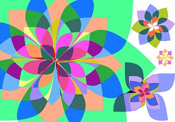 Dane Albert -&nbsp;A R C S